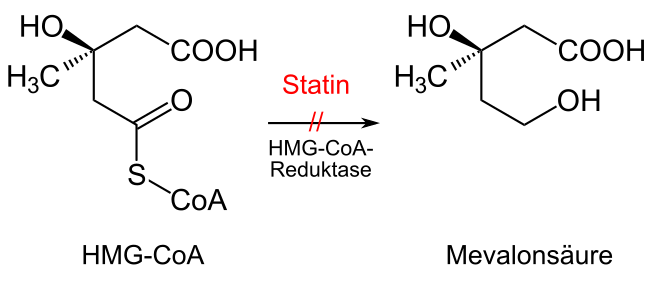 File:Statin mechanism v01.svg