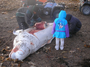Thumbnail for version as of 22:33, 8 June 2026