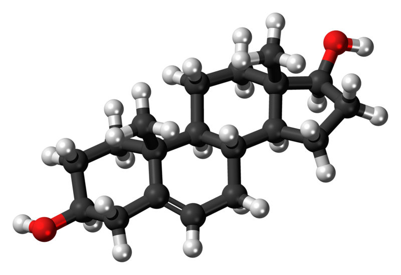 File:Androstenediol molecule ball.png
