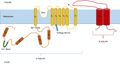 BK Channel Diagram