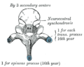 Thumbnail for version as of 17:28, 18 May 2026