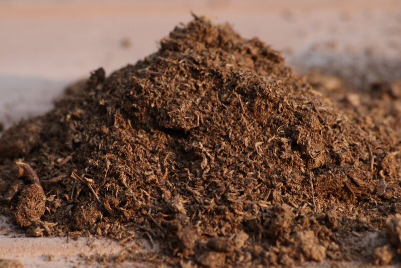 File:Schultz Sphagnum Peat Moss.jpg