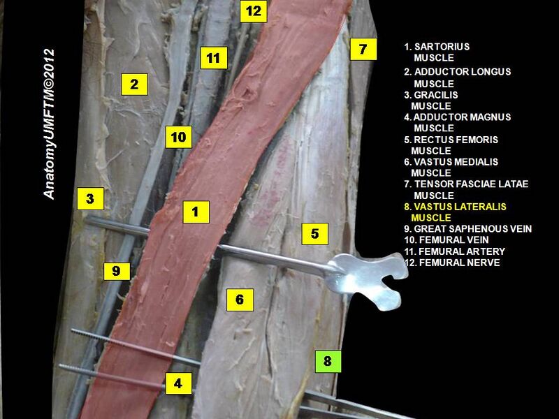 File:Slide8www.JPG