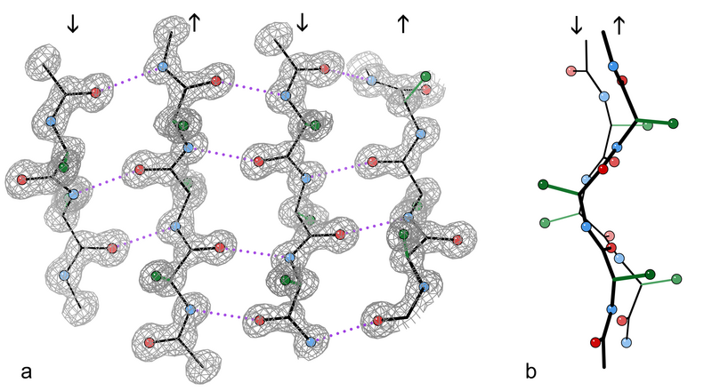 File:1gwe antipar betaSheet both.png