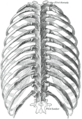 Thumbnail for version as of 17:27, 18 May 2026