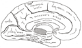 Thumbnail for version as of 17:27, 18 May 2026
