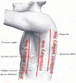 Thumbnail for version as of 13:40, 23 May 2026