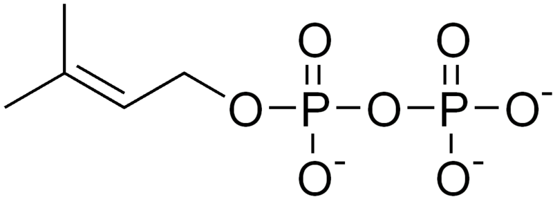 File:DMAPP.png