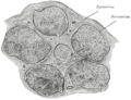 Thumbnail for version as of 17:27, 18 May 2026