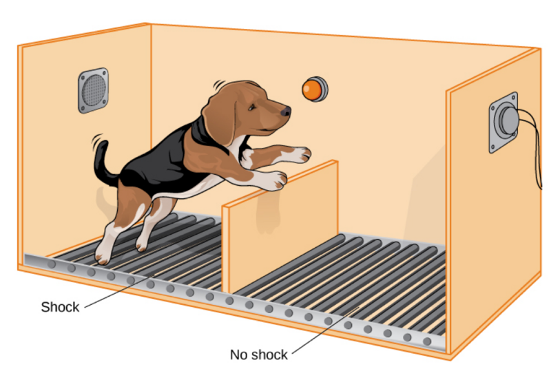File:Shuttle Box Dog Orange.png