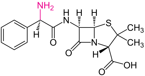 File:Ampicillin with amine highlighted.svg