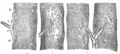 Thumbnail for version as of 17:28, 18 May 2026