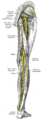 Thumbnail for version as of 17:28, 18 May 2026