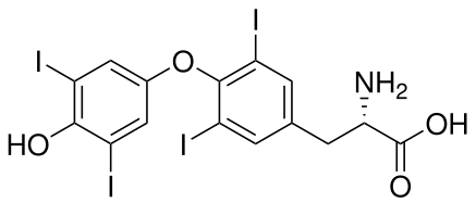 File:Thyroxine2.svg