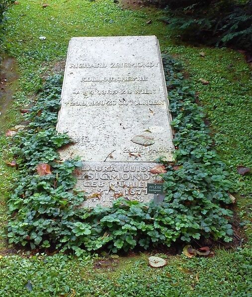 File:Göttingen Stadtfriedhof Richard Adolf Zsigmondy.jpg