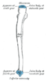 Thumbnail for version as of 17:28, 18 May 2026