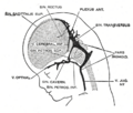 Thumbnail for version as of 17:28, 18 May 2026