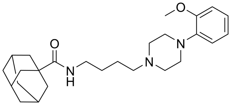 File:NBUMP.png