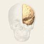 Thumbnail for version as of 19:19, 4 June 2026