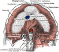 Thumbnail for version as of 12:50, 29 May 2026