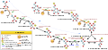 Glycolysis