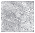 Thumbnail for version as of 17:28, 18 May 2026