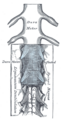 Thumbnail for version as of 17:28, 18 May 2026