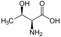 File:L-Threonin - L-Threonine.svg