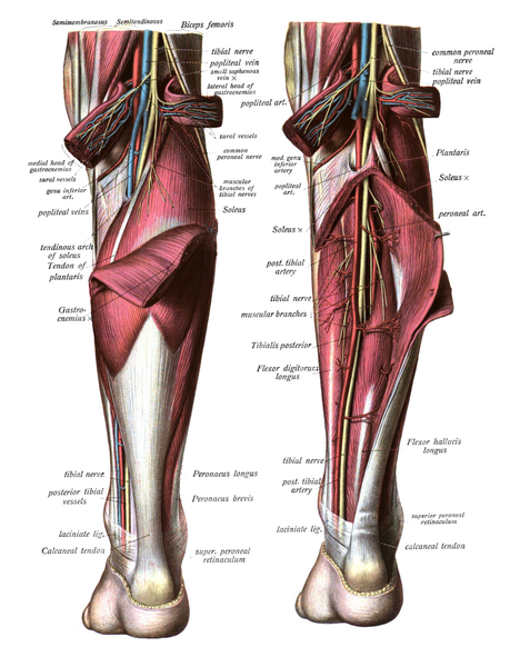 File:Sobo 1909 579-580.png