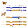 Thumbnail for version as of 01:22, 2 June 2026