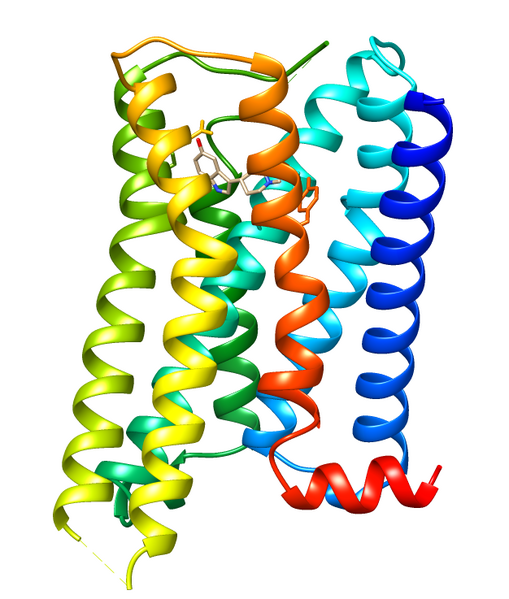 File:7E33 5-HT1E receptor.png