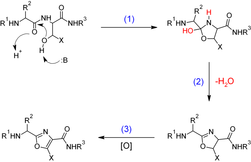 File:Biosynthesis of oxazole.png