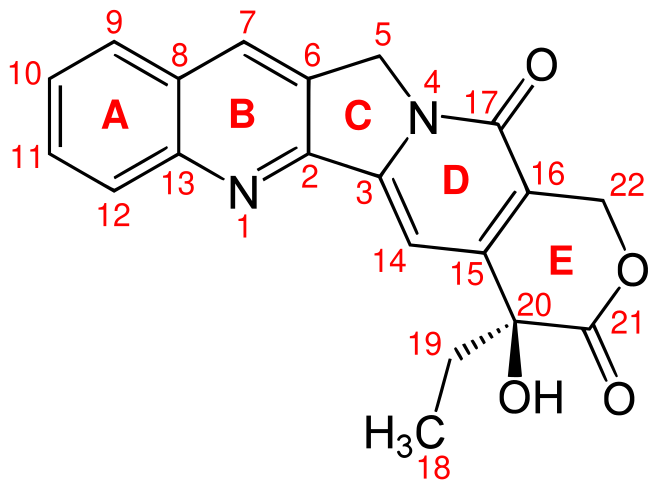 File:Camptothecin numbering.svg