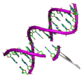 Thumbnail for version as of 12:49, 29 May 2026