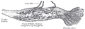Thumbnail for version as of 17:28, 18 May 2026