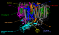 Photosystem II 2AXT