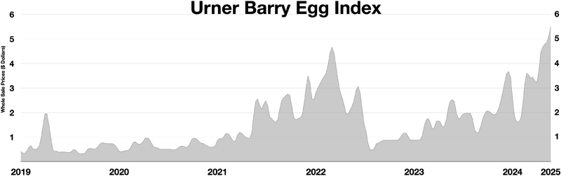 File:Egg index.webp