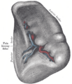 Thumbnail for version as of 17:27, 18 May 2026