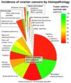 Incidence of ovarian cancers by histopathology