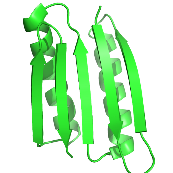 File:Top7.png