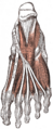 Thumbnail for version as of 17:28, 18 May 2026