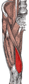 Thumbnail for version as of 13:40, 23 May 2026