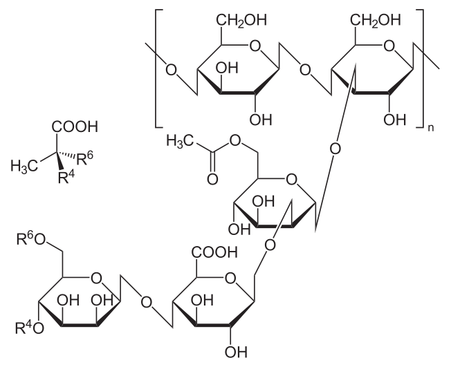 File:Xanthan.svg