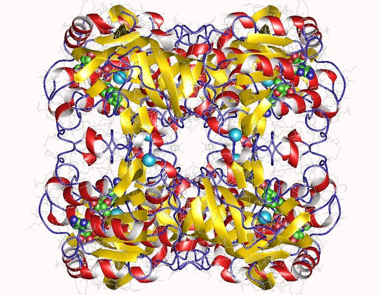 File:2ejv.jpg