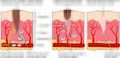 Thumbnail for version as of 02:14, 7 June 2026
