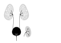 Thumbnail for version as of 22:13, 18 May 2026
