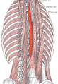 Thumbnail for version as of 13:40, 23 May 2026