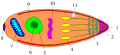 Thumbnail for version as of 14:55, 19 May 2026