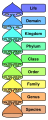 Thumbnail for version as of 22:13, 18 May 2026
