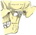 Thumbnail for version as of 17:28, 18 May 2026
